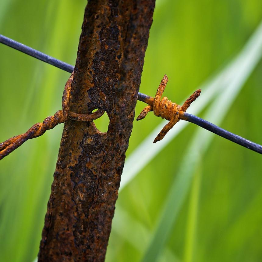 Advantages of Recycling Wire