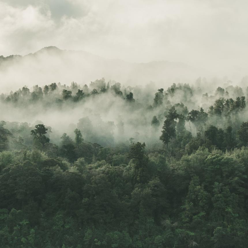 The Environmental Impact of Improperly Recycled E-Waste