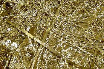 Brass Alloy Bare